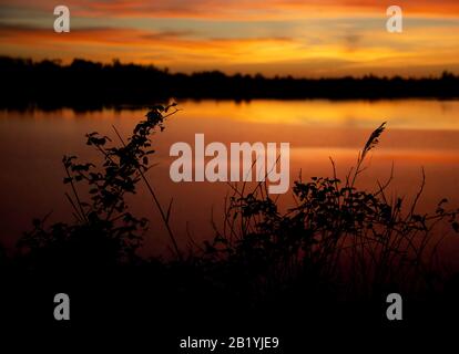 Ein wunderbarer Blick auf den Sonnenuntergang über einem Teich Stockfoto