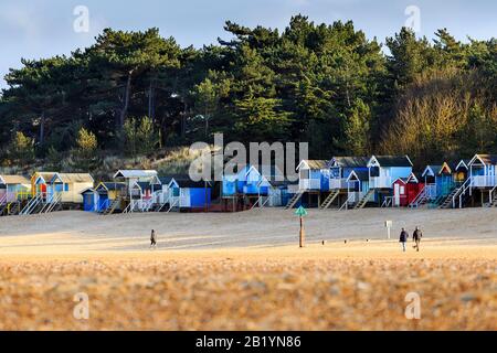 Die ikonischen, farbenfrohen Strandhütten am Wells Beach, am späten Nachmittag Sonnenlicht, mit den Pinienwäldern dahinter. Menschen, die gehen. Stockfoto