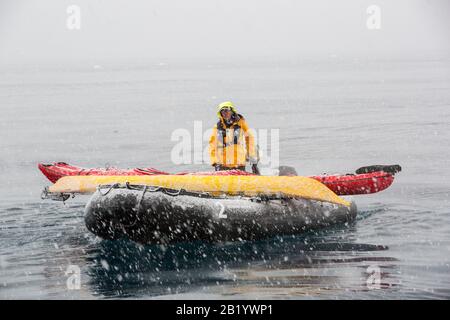 Zodiacs von einem Expeditionskreuzschiff in heftigem Schnee in der Fournier Bay in der Antarktis. Stockfoto