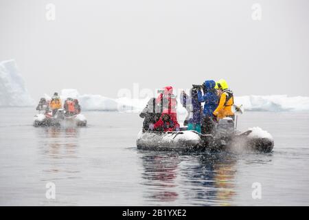 Chinse-Touristen in Zodiacs von einem Expeditionskreuzschiff im schweren Schnee in der Fournier Bay in der Antarktis. Stockfoto