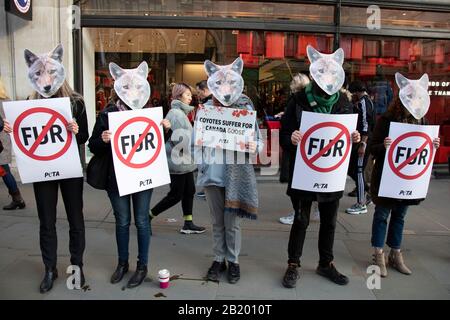 Demonstranten gegen Tierquälerei, die Coyote Masken aus Protest außerhalb des Canada Goose Shops in der Regent Street tragen, aufgrund der Mode-Companys, die Coyote Pelze in einigen ihrer Produkte am 29. November 2019 in London, England, Großbritannien verwenden. Canada Goose ist ein kanadisches Bekleidungsunternehmen im Freien, das echte Pelze als Zierteile auf den Hauben ihrer Parka Coats verwendet, was sowohl bei Tierrechtsgruppen als auch bei vielen Menschen in der Öffentlichkeit ein kontroverses Thema ist. Stockfoto