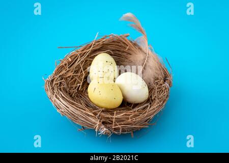 Gelbe kleine Wachteleier in einem Gelege auf blauem Grund. Dekoration von Ostern. Eiweißquelle, Ernährung Stockfoto