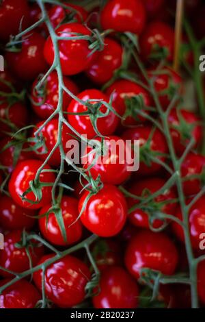 Reife rote Kirschtomaten auf der Rebe in einem Haufen Stockfoto