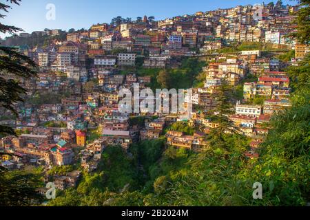 Panoramablick auf Shimla, Indien, im Himalaya Stockfoto