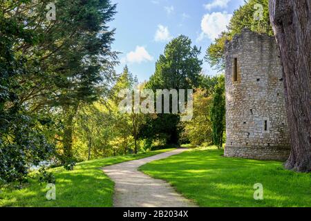 Ein Turm in einem Teil der Wände aus der ursprünglichen Sherborne 'Old'-Burg aus dem 12. Jahrhundert, Sherborne, Dorset, England, Großbritannien Stockfoto