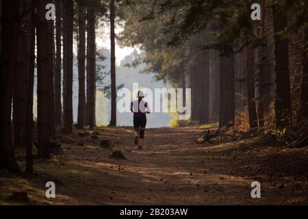 Eine junge Frau oder ein Mädchen joggt oder läuft auf einem sonnenen Waldweg Stockfoto