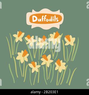 Daffodil Blumen und Blätter in flachem Stil. Vector - handgezeichnetes Blumenobjekt. Botanischer Bestand isolierte Abbildung auf Grün mit Text - Daffodils Stock Vektor