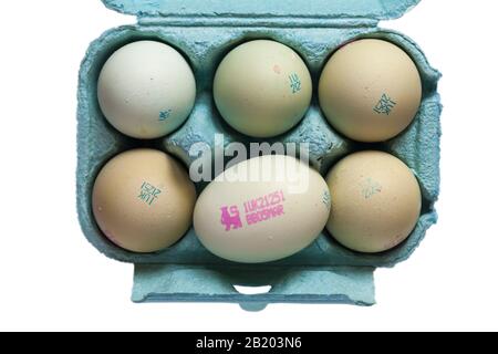 Karton mit M&S Britisch Gezüchtet 6 Freisortiment Araucana Blaue Eier mit blassblauer, zart Schale, offen für Eier, die auf weißem Hintergrund auf Eierkiste gelegt werden Stockfoto