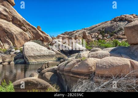 Stillwasser spiegelt die Wüstenumgebung am Barker Dam im Joshua Tree National Park, CA, wider. Stockfoto