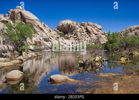 Stillwasser spiegelt die Wüstenumgebung am Barker Dam im Joshua Tree National Park, CA, wider. Stockfoto