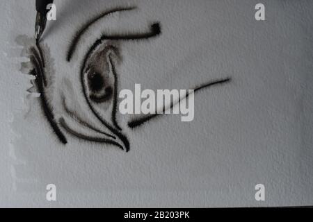 Reihenfolge der Zeichnung mit DIP-Stift in Indien Tinte auf nasses Aquarellpapier mit Tintenverteilung. Stockfoto