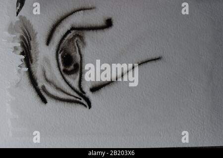 Reihenfolge der Zeichnung mit DIP-Stift in Indien Tinte auf nasses Aquarellpapier mit Tintenverteilung. Stockfoto