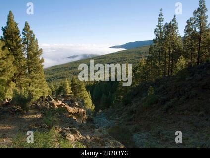 Herrliche Berglandschaft auf Teneras am Fuß von El Teide Stockfoto