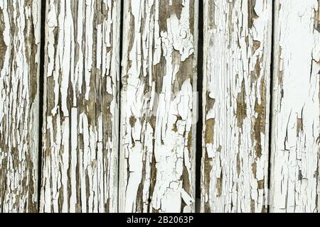 Hellgrauer Holzhintergrund. Holzhintergrund, bemalte Oberfläche der alten grauen Bretter. Verwitterte graue Holzstruktur. Vertikale Ausrichtung. Stockfoto
