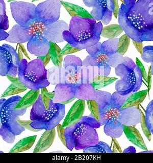 Nahtloses, farbenes, handgemaltes Blumenmuster mit blauen Hellebarden auf weißem Hintergrund. Für Tapeten oder Textildesign Stockfoto