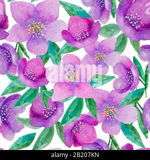 Nahtloses, farbenes, handgemaltes Blumenmuster mit violetten Hellebarden auf weißem Hintergrund. Für Tapeten oder Textildesign Stockfoto