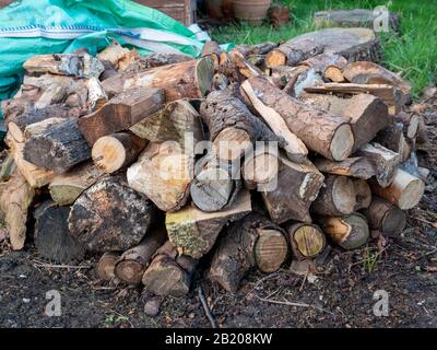 Ein Haufen gehackter Holzstämme in einem Garten, der bei einem offenen Feuer in Großbritannien brennend werden kann Stockfoto