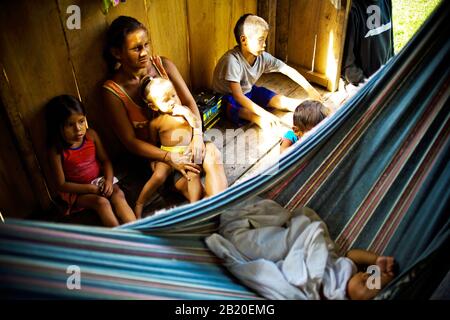 Frau und Sitzkinder auf dem Boden, Abacaba Community, Novo Airão, Amazonas, Brasilien Stockfoto