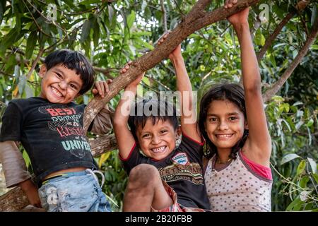 Hispanische Kinder, die im guatemaltekischen Dorf lächelnd im Baum spielen Stockfoto