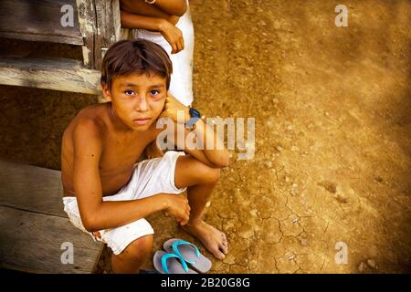 Sitzjunge, Nossa Senhora de Fátima Community, Igarapé do Camara, Iranduba, Amazonas, Brasilien Stockfoto