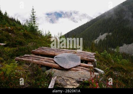 Toilette mit Blick - Teil des nicht genutzten Schaflagers in Kanada Stockfoto