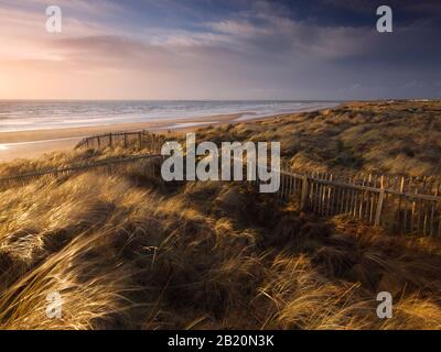 West Coast Dunes, Troon Stockfoto