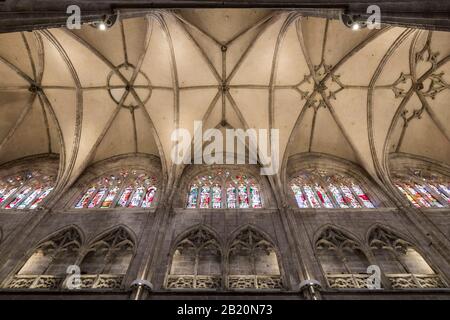 Oviedo, Spanien. Das Gewölbe des Hauptschiffes der Kathedrale von San Salvador (Basilika des Heiligen Erlösers) Stockfoto