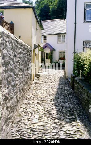 Clovelly im Stadtteil Torridge in Nord-Devon, das in der Fußgängerzone liegt und Kopfsteinpflaster hat. Stockfoto