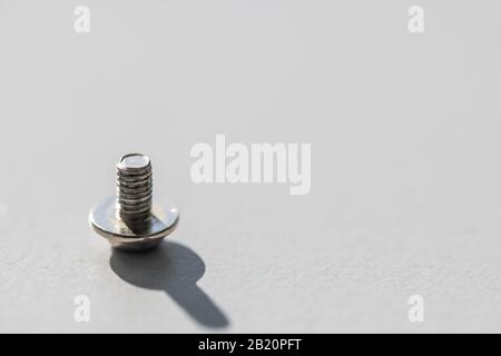 Einige kleine Schrauben sind im Licht mit grauem Hintergrund ausgerichtet Stockfoto