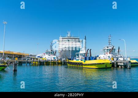 Tauranga Neuseeland - 26. Februar 2020; Hafen von Tauranga leuchtend gelber Schlepper und Lotsenboote berten vor großem Kreuzfahrtschiff im Hafen von Tauranga Stockfoto