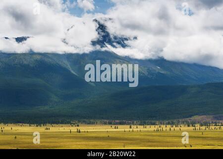 Malerische Aussicht auf die schneebedeckte North-Chuya-Strecke im Altai-Gebirge im Sommer, Sibirien, Russland. Stockfoto