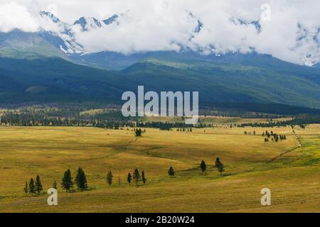 Malerische Aussicht auf die schneebedeckte North-Chuya-Strecke im Altai-Gebirge im Sommer, Sibirien, Russland. Stockfoto