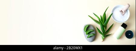 Banner-Wohnung lag mit Aloe vera Kosmetikprodukten. Stockfoto