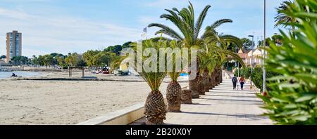 Horizontaler Panoramablick auf die Palmen von San Pedro del Pinatar führte entlang der Sandstrandküste des Mittelmeeres. Murcia Spanien Stockfoto