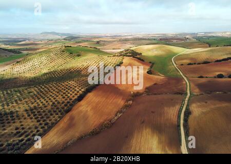 Luftbild Foto Agrarfelder in Sevilla. Andalusien, Spanien Stockfoto
