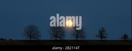 Vollmond hinter einer Baumreihe, St.Wolfgang bei Altenmarkt, Chiemgau, Oberbayern, Bayern, Deutschland Stockfoto