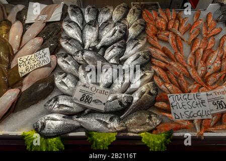 Frische Meerbrassen (Bramidias), rechte Maultiere (Mugilidas), linke gemeine Sohle (Solea solea) auf Eis, Fischmarkt Venedig, Venetien, Italien Stockfoto