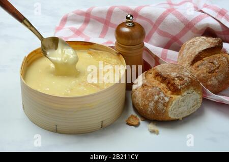 Aus Loeffel fließt der Schweizer Weichkäse Vacherin Mont d'Or Stockfoto