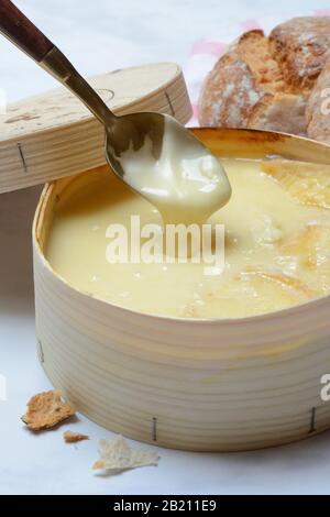 Aus Loeffel fließt der Schweizer Weichkäse Vacherin Mont d'Or Stockfoto