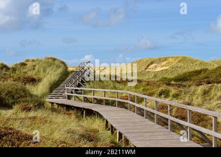 Holzsteg im Dünengebiet bei Norddorf, Amrum, Nordfriesische Insel, Nordfriesland, Schleswig-Holstein, Deutschland Stockfoto