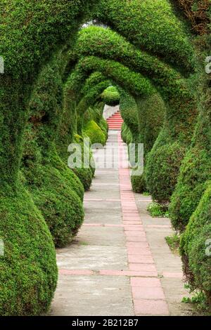 Torbogen von Topiary vor der San Rafael Kirche Zarcero, Costa Rica Stockfoto