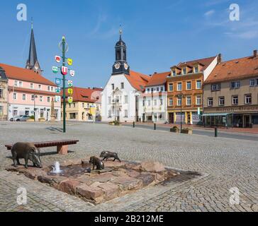 Marktplatz mit Wilde Sau Brunnen-Rathaus und Nikolaikirche, Wilsdruff, Sachsen, Deutschland Stockfoto