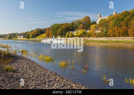 Herbst am Elbufer, Raddampfer an der Elbe, im Hintergrund die Alten Wasserwerke und Schloss Albrechtsberg, Dresden, Sachsen, Deutschland Stockfoto