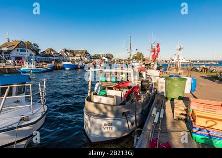 Fischerboote im Hafen, Fischkutter, Fischerhafen, Vitte, Insel Hiddensee, Mecklenburg-Vorpommern, Deutschland Stockfoto