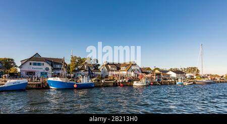 Fischerboote im Hafen, Fischerhafen, Vitte, Insel Hiddensee, Mecklenburg-Vorpommern, Deutschland Stockfoto