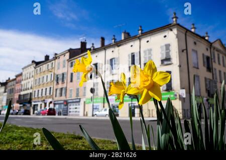 RN6 Road, am rechten Ufer des Flusses Saone, Mâcon, Saône-et-Loire, Frankreich Stockfoto