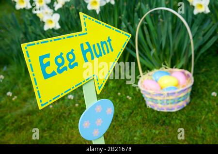Buntes Schild für Eierjagd, das auf einen Osterkorb in einem Frühlingsblumengarten zeigt Stockfoto