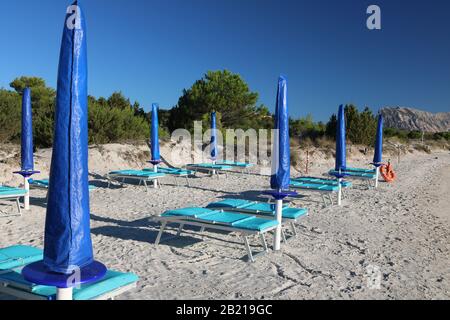 Am frühen Morgen an einem Strand in Sardinien, Italien. Blaue Sonnenschirme und türkisfarbene liegen sind aufgereiht und zum Sonnenbaden bereit. Stockfoto