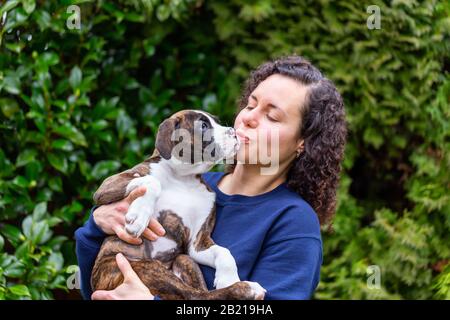 Weiße Kaukasianerin mit einem kleinen süßen Boxer Puppy draußen im Garten. Aufgenommen in Vancouver, British Columbia, Kanada. Stockfoto