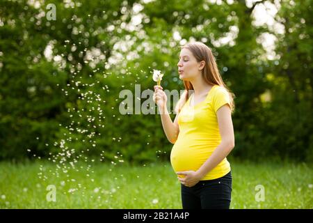 Junge schwangere Frau bläst Löwenzahn auf einer Wiese Stockfoto